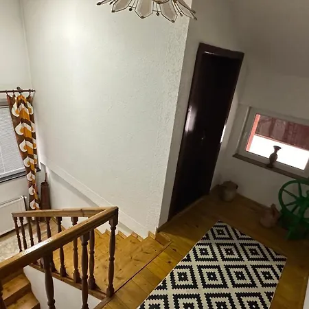 아파트 Feniks 셰니차