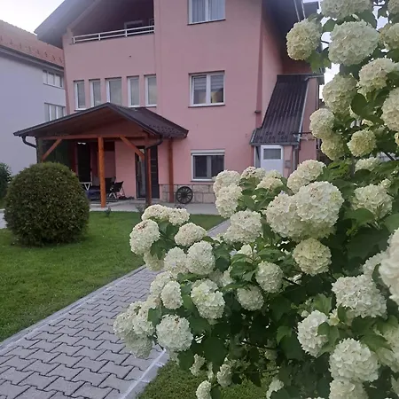 Feniks * Sjenica