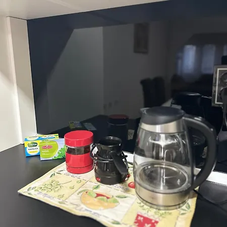 아파트 Feniks 셰니차