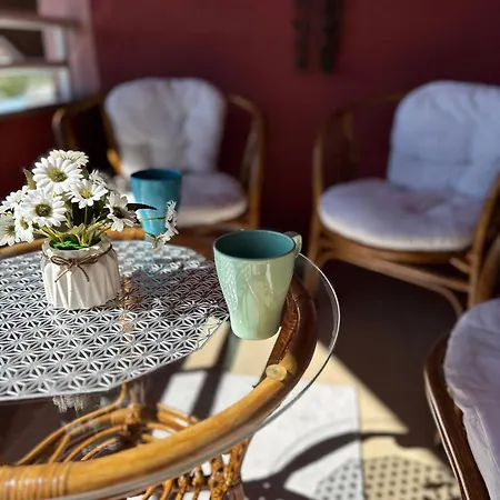 Feniks 아파트 셰니차